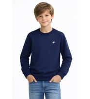 Erkek Çocuk Sweatshirt BGL-ST05228