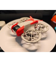 DJI Neo Drone Kamera Koruması