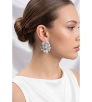 Gümüş Renk Zirkon Taşlı Çiçek Model Kadın Abiye Küpe TJ-BKP11897