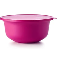 Tupperware Aloha 4Lt Hamur Mayalama Kabı
