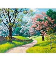 Yürüyüş Yolu Sayılarla Boyama Seti 40x 50 cm (Tuvale Gerili)