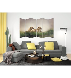 ASLAN MDF TABLO-2355 MODEL-B