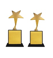 Gold - Altın Yıldız Oskar , sevgiliye hediye, yıldönümü hediyesi, geçmiş olsun hediyesi, yeni iş hediyesi, anneye hediye, babaya hediye, resimli hediye
