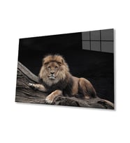 Aslan 12 Cam Tablo