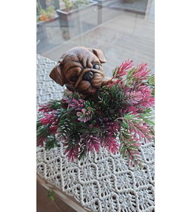 Sepetli Köpek Saksı, Sevimli Köpek, Dog Flowerpot