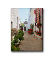 Bodrum Kanvas Tablo ŞHD100