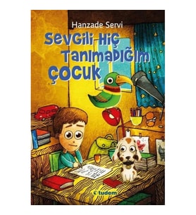 Sevgili Hiç Tanımadığım Çocuk