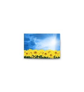 DBSanatevi Günebakan Tablo 40 X 30 cm