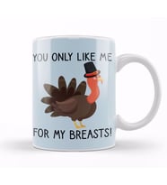 You Only Like Me for My Breasts Funny Thanksgiving 02 Kupa Bardak Porselen