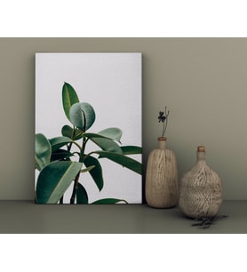 BK Home Green Plant Tasarımlı Kanvas Tablo-1