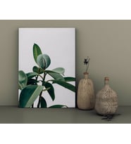 BK Home Green Plant Tasarımlı Kanvas Tablo-1