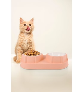 Çiftli Kedi Köpek Mama Ve Su Kabı, 2'li Kedi Köpek Mama Kabı, Yükseltilmiş Eğimli Mama Kabı Su Kabı (Pembe)