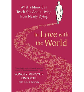 In Love With The World: What A Monk Can Teach You About Living From Nearly Dying