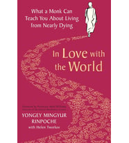 In Love With The World: What A Monk Can Teach You About Living From Nearly Dying