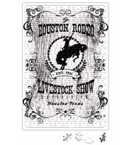 Rodeo Houston Puzzle 240 Parça Yapboz