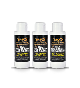 3'ü 1 Arada (CİLA-BOYA KORUMA-HARE GİDERİCİ) (3X100ML)
