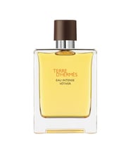 Terre D'Hermès Eau Intense Vétiver EDP 100ML Erkek Parfüm