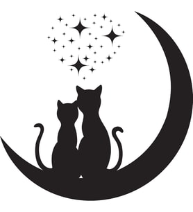 KEDİ FOLYO STİCKER 80cm Uzunluk
