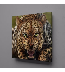 LEOPAR KANVAS TABLO 40x40cm (Karışık)