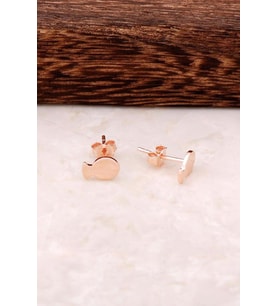 Balık Tasarım Rose Gümüş Mini Küpe 4347