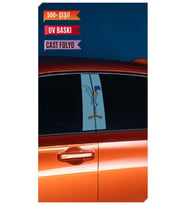 Araç Kapı Direk Kaplama Folyosu Road Runner Desenli (Sağ Sol Takım) (2 Adet) - 2 (Çok Renkli)