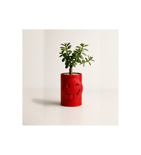 Alvera Emoji Planter – 3D Baskı Göz Kırpan Yüzlü Minik Yeşil Saksısı-Kırmızı