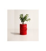 Alvera Emoji Planter – 3D Baskı Göz Kırpan Yüzlü Minik Yeşil Saksısı-Kırmızı