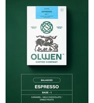 OLWEN Espresso Çekirdek Kahve Kahve Base 1 - 1 Kg (Kurutulmuş sarı meyveler,Sütlü çiko lata,Karamel)