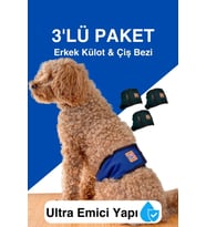 Erkek köpekler için çiş bezi & erkek köpek külot renkleri (Mavi)