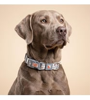 GOBYPET Desenli Köpek Boyun Tasması 25 mm, Ayarlanabilir 39-55 cm, Güçlendirilmiş Emniyet Kilitli Toka, Paslanmaz Metal D Halka, Dayanıklı Kumaş, Günlük Kullanım, Yürüyüş ve Eğitim İçin