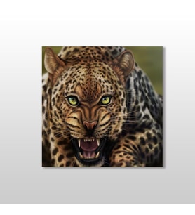 LEOPAR KANVAS TABLO 50x50cm (Karışık)