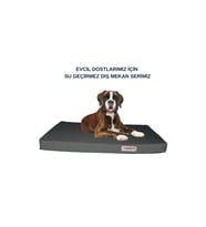Yaprak Desenli Köpek ve Kedi Dış Mekan Yatak ve Minder Seti