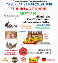Tavuk Yumurtlatma Vitamini ovumix 100 gr