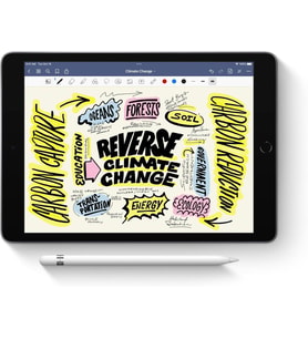 Apple Pencil (1. nesil) Teşhir