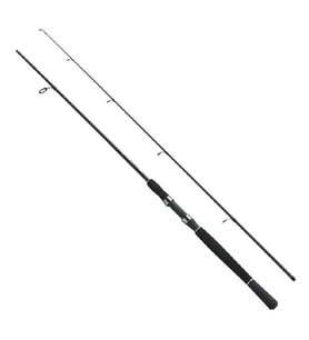 FLADEN XTRA FLEXX  165CM  (40-80G) AKSİYONLU SPİN KAMIŞI