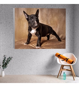 Siyah Terrier Köpek Yavrusu Dekoratif Kanvas Tablo