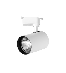 Noas 30W LED Ray Spot Paris