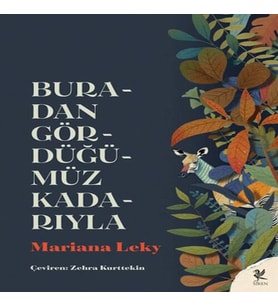 Buradan Gördüğümüz Kadarıyla