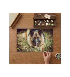 Alman Çoban Köpeği Tasarımı 240 parça Ahşap Puzzle Ahşap Kutuda MP07499