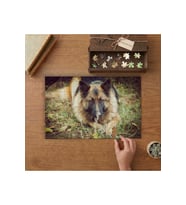 Alman Çoban Köpeği Tasarımı 240 parça Ahşap Puzzle Ahşap Kutuda MP07499