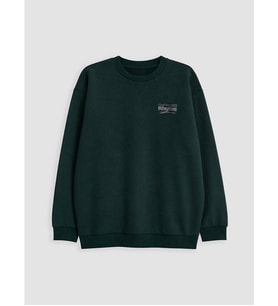 LCW Kids Yeşil Bisiklet Yaka Erkek Çocuk Sweatshirt
