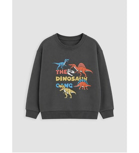 LCW Kids Gri Baskılı Erkek Çocuk Sweatshirt