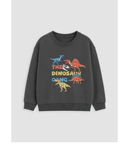 LCW Kids Gri Baskılı Erkek Çocuk Sweatshirt