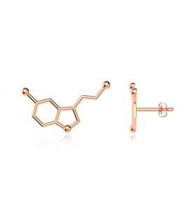 Serotonin Mutluluk Hormonu Rose Gümüş Küpe
