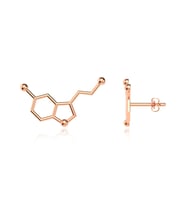 Serotonin Mutluluk Hormonu Rose Gümüş Küpe