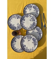 6'lı 20cm Bahar Temalı Pasta Tabağı Seti, Şık ve Kullanışlı