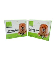 2 Kutu 21-40kg Köpekler İçin 5li Damla Paketi 