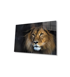 Aslan Cam Tablo 4mm Dayanıklı Temperli Cam (Çok Renkli)