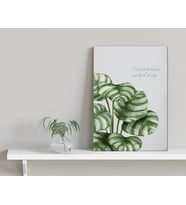 BK Home Green Plant Tasarımlı Kanvas Tablo-1
