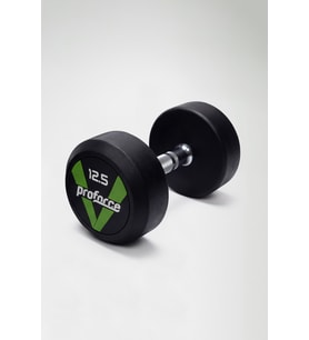 Dambıl Ağırlık DB12,5 ( Adet )